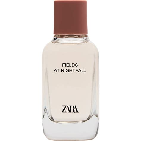 zara fields at nightfall perfume dupe|zara fields at nightfall intense.